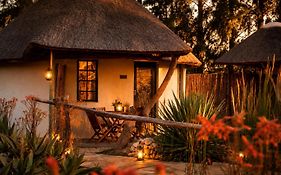 Addo African Home